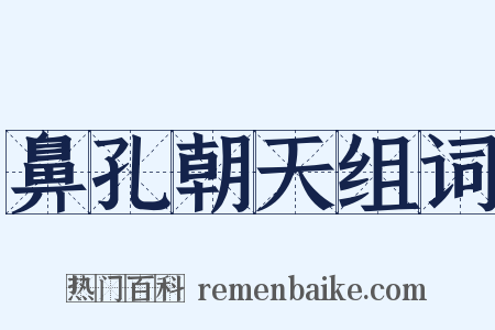 鼻孔朝天组词是什么意思的图片